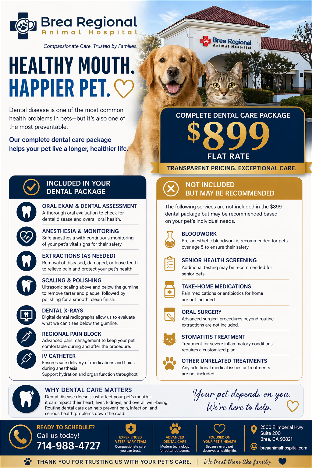 Brea Regional Animal Hospital complete dental care package flyer showing the $899 flat rate dental offer, included services, and exclusions.